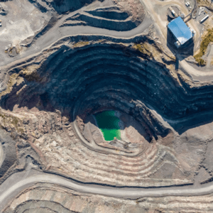 Palos de Eucalipto para Minería