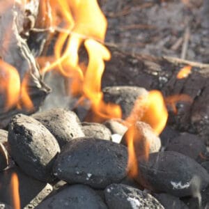 Carbón Vegetal de Eucalipto · Saco 25 kg